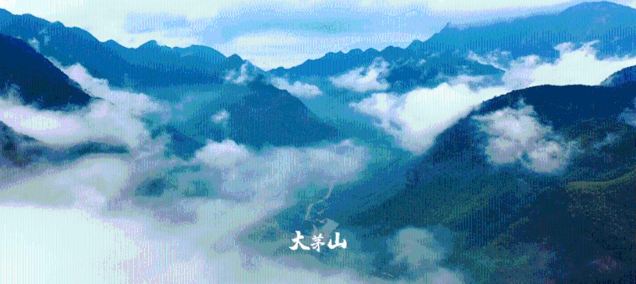 三国诛将录